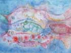 Mittelmeerfisch - 28 x 38 - Aquarell - 1998 (verkauft)